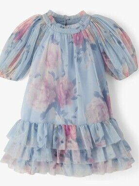 Gymboree Blue Floral Ruffle Dress for Girls